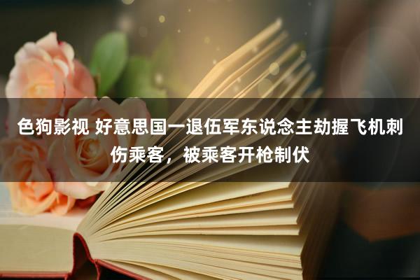 色狗影视 好意思国一退伍军东说念主劫握飞机刺伤乘客，被乘客开枪制伏