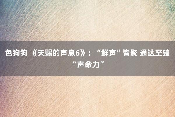 色狗狗 《天赐的声息6》：“鲜声”皆聚 通达至臻“声命力”