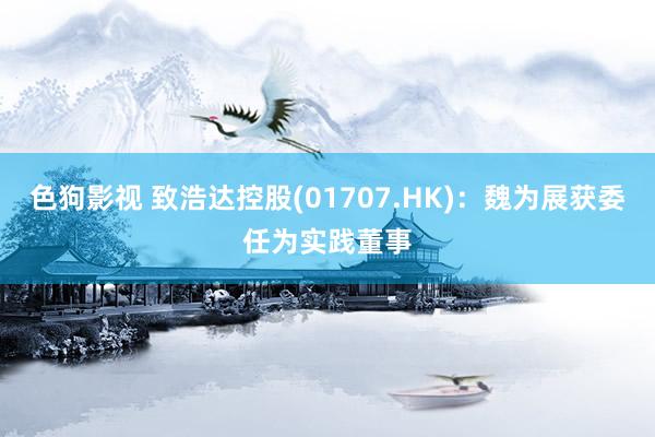 色狗影视 致浩达控股(01707.HK)：魏为展获委任为实践董事