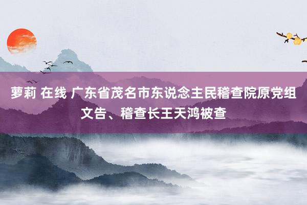 萝莉 在线 广东省茂名市东说念主民稽查院原党组文告、稽查长王天鸿被查