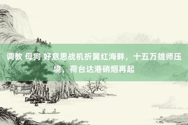调教 母狗 好意思战机折翼红海畔，十五万雄师压境，荷台达港硝烟再起