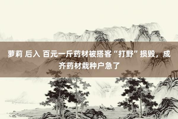 萝莉 后入 百元一斤药材被搭客“打野”损毁，成齐药材栽种户急了