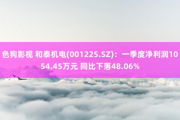 色狗影视 和泰机电(001225.SZ)：一季度净利润1054.45万元 同比下落48.06%