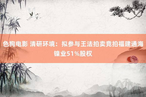 色狗电影 清研环境：拟参与王法拍卖竞拍福建通海镍业51%股权