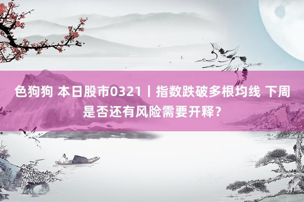 色狗狗 本日股市0321丨指数跌破多根均线 下周是否还有风险需要开释？