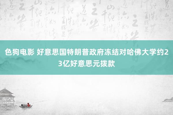 色狗电影 好意思国特朗普政府冻结对哈佛大学约23亿好意思元拨款