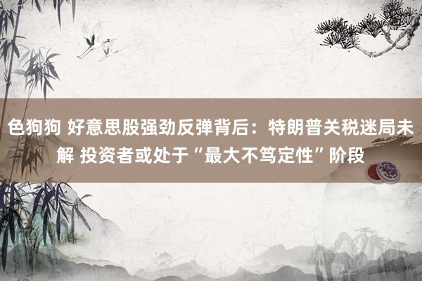 色狗狗 好意思股强劲反弹背后：特朗普关税迷局未解 投资者或处于“最大不笃定性”阶段