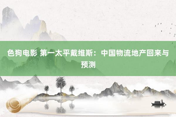 色狗电影 第一太平戴维斯：中国物流地产回来与预测