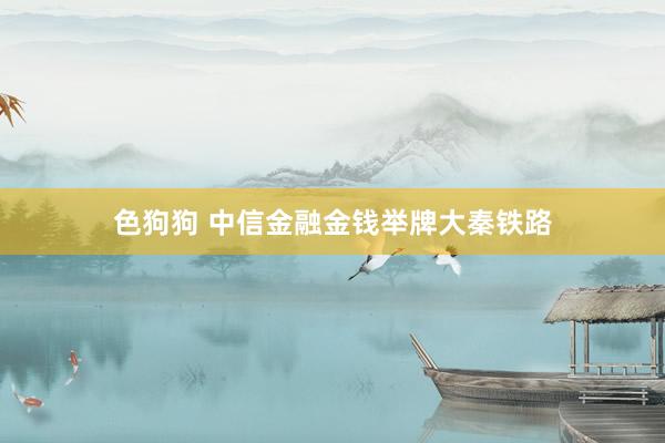 色狗狗 中信金融金钱举牌大秦铁路