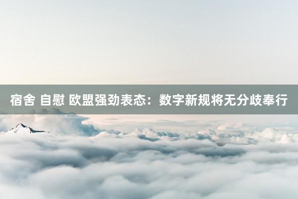 宿舍 自慰 欧盟强劲表态：数字新规将无分歧奉行