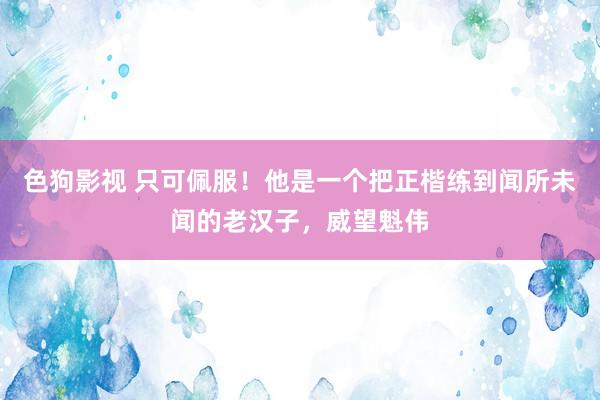 色狗影视 只可佩服！他是一个把正楷练到闻所未闻的老汉子，威望魁伟