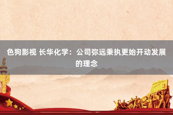 色狗影视 长华化学：公司弥远秉执更始开动发展的理念