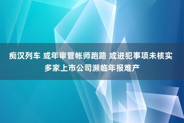 痴汉列车 或年审管帐师跑路 或进犯事项未核实 多家上市公司濒临年报难产