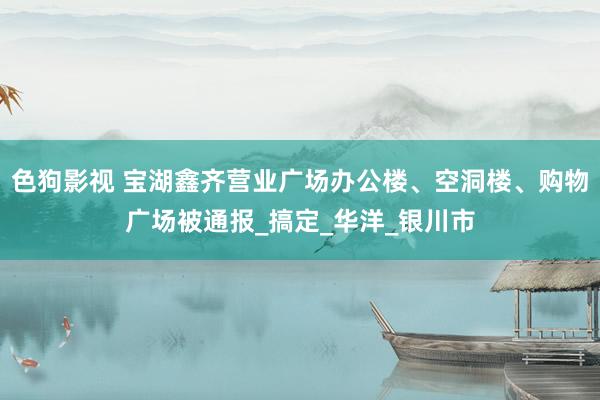 色狗影视 宝湖鑫齐营业广场办公楼、空洞楼、购物广场被通报_搞定_华洋_银川市