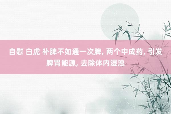 自慰 白虎 补脾不如通一次脾， 两个中成药， 引发脾胃能源， 去除体内湿浊