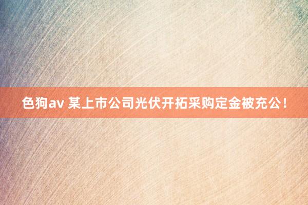 色狗av 某上市公司光伏开拓采购定金被充公！